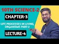 10th Science 2 | Chapter 3 | Life Processes in Living Organisms Part-2 | Lecture 4 | JR Tutorials |