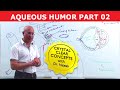 Aqueous Humor - Production, Circulation & Drainage part 2/2
