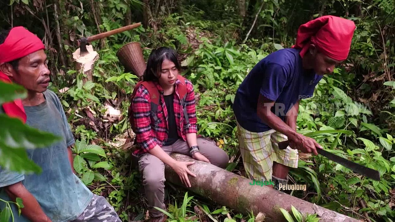 JEJAK PETUALANG - SUKU ALUNE DI GUNUNG BINAIYA (21/2/17) 3-1