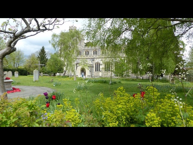 Tring Team Parish - 10am 18th October - Trinity 20