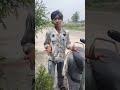 owl 🦉 #comedy #viral #trending #explore #reels #tom