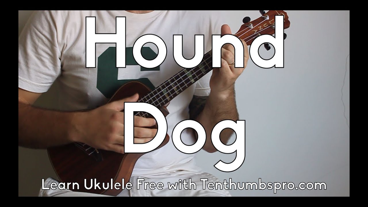 Hound Dog - Elvis Presley - Easy Upper Beginner Ukulele Tutorial - Rock'n'roll Blues Ukulele
