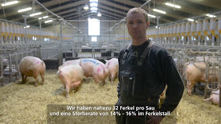 Erfahrung von einem Landwirt mit dem neuartigen System in der Schweineaufzucht | sowTAKEAWAY | H+L