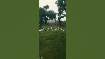 قَالُواْ يَٰمُوسَىٰٓ إِنَّا لَن نَّدۡخُلَهَآ أَبَدٗا - إسلام صبحي [ سورة المائدة,٢٤-٢٦ ]