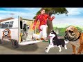 नृत्य कुत्ते Dancing Dog हिंदी कहानियां  Hindi Kahaniya | Funny Comedy Vidoes | Hindi Comedy Videos