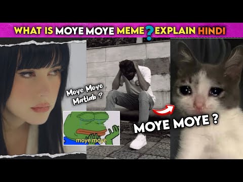 Moye Moye meaning ? Explain in hindi | What does Moye Moye mean? | What is Moye Moye ?