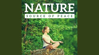 The Ultimate Experience of Definitive Peace