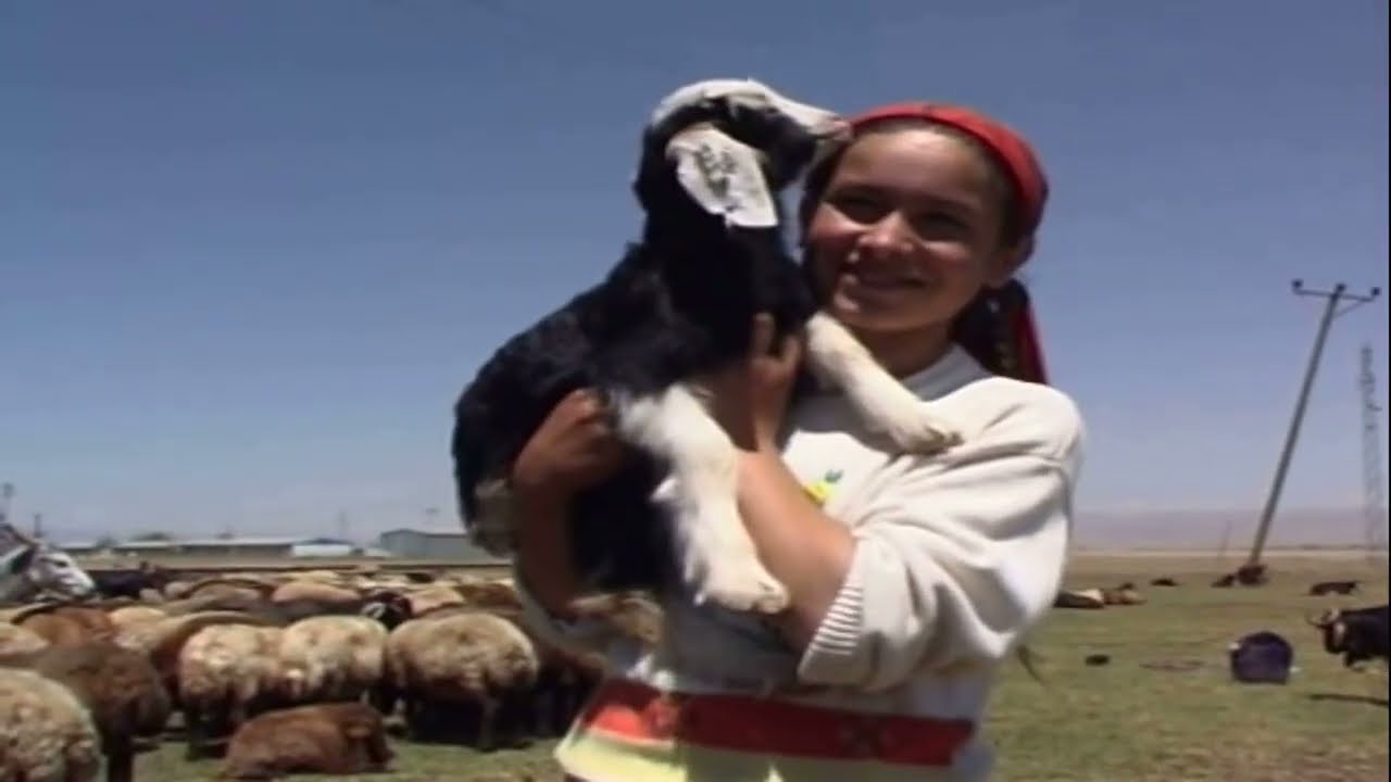 Mıhemedo - Kürtçe Dertli Duygulu Erivan Müzikleri..!! Dengbeji Stran Kurdi✔️