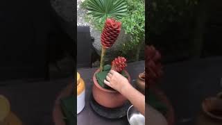 Exotic flower arrangement - Beehive ginger and heliconias !