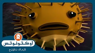 أوكتونوتس |  🐡 سمكة القنفذ المنتفخة 🐋 | السلسلة 2 | الحلقة 9
