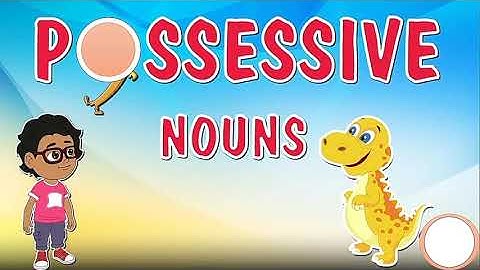 Nouns and their Grammatical Functions