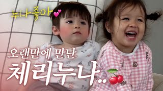 훌쩍큰 체리🍒와 메이슨 재회✨, 올리버쌤네와 3박4일 공동육아하기👶🏻👧🏻, 메이슨의 짝사랑...🌟귀염둥이들 모음집💕