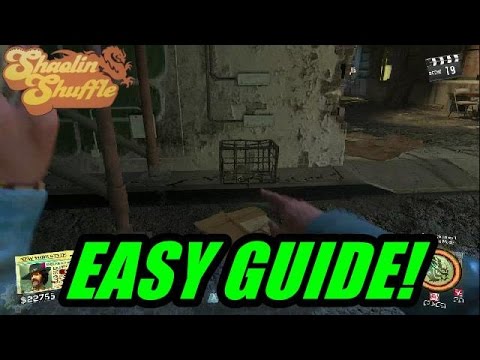 main-easter-egg-guide-all-rat-cage-locations-and-there-order-(shaolin-shuffle-zombies)