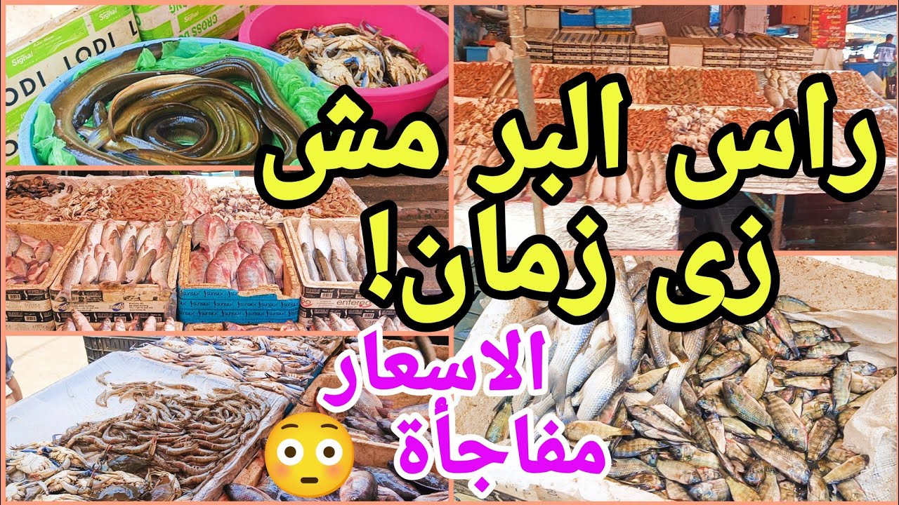جولة في السوق الكبير براس البر واسعار السمك والجمبري صدمتنى 😱 وتعالو نودع البحر 🌊