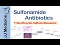 Sulfonamide Antibiotics | Bacterial Targets, Mechanism of Action, Adverse Effects
