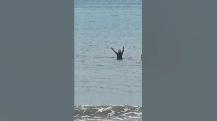 Big shark attack #scary #shark #shorts