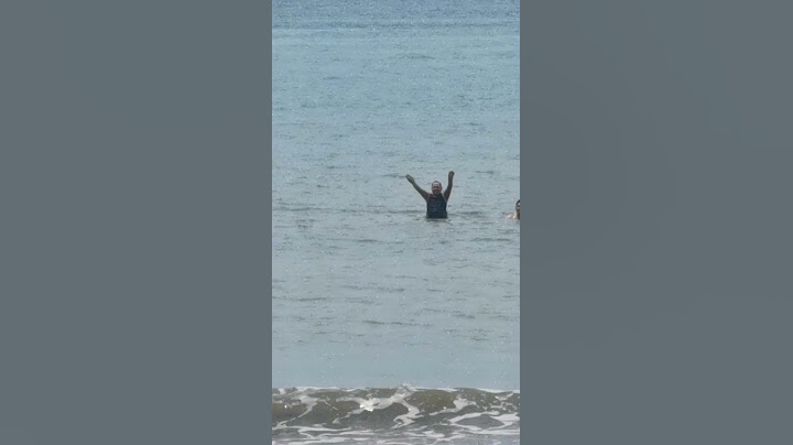 Big shark attack #scary #shark #shorts