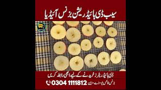 Apple Dehydration Machine Process | How to Make Premium Dried Apples for Profit Business