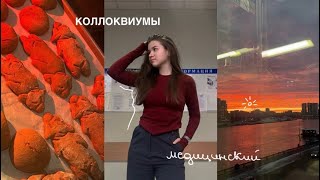 Неделя коллоквиумов в меде: ноябрь| патфиз, микра, патанат| поездка в Тулу
