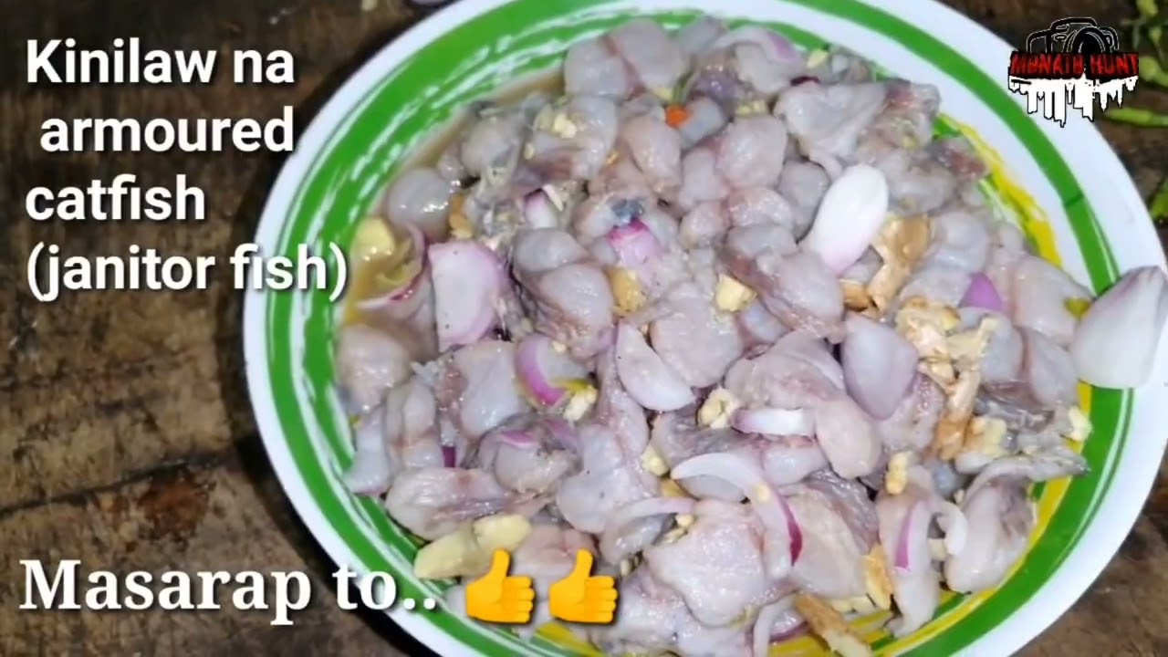 Janitor Fish Kinilaw Masarap Ba YouTube Janitor Fish Kinilaw Masarap Ba YouTube