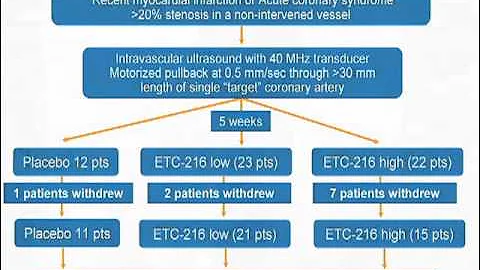 Factors Driving Progression and Regression of Coronary Plaques