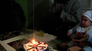 Imagen 245