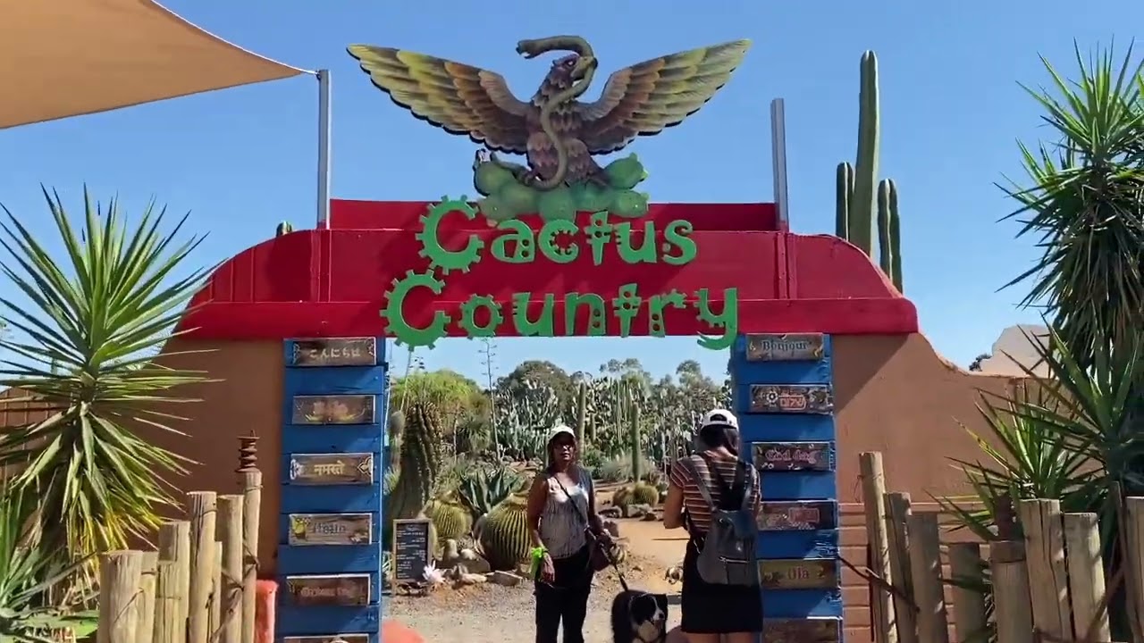 Cactus Country 2022