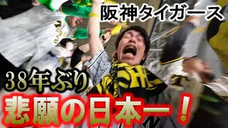 ついに決着！阪神タイガースが日本一やああああ！！！阪神ファン38年ぶり歓喜の涙！