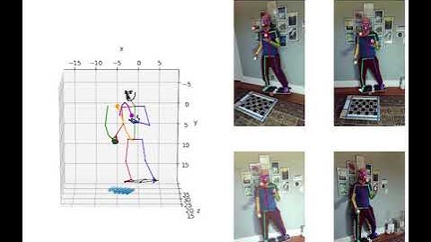 FreeMoCap SampleVideo