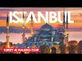 Istanbul Turkey In 4K A Mesmerizing Walk Through The Historic City