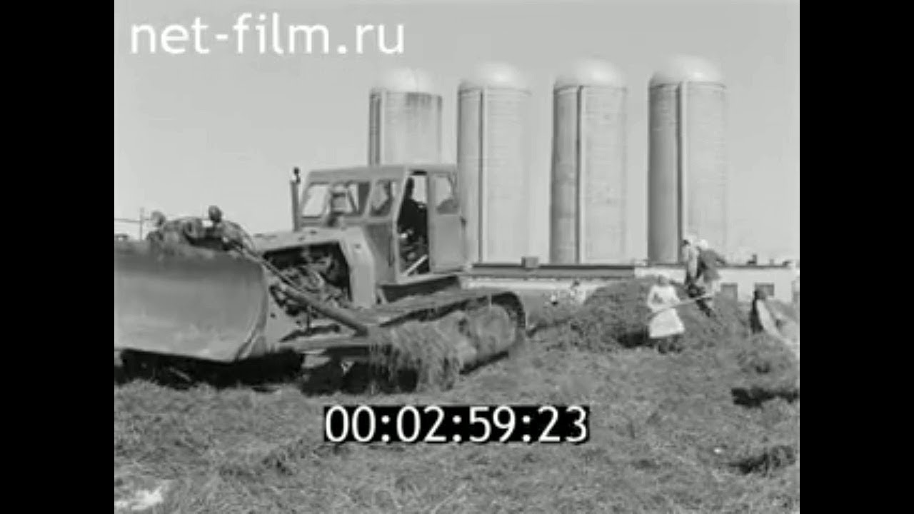 25 совхоз. Совхоз мончегорский. совхоз 25 съезда кпсс в масср. казахстан совхоз 27 съезда кпсс.
