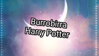 #harrypotter #burrobirra #cucina Sarà un epic fail? Burrobirra