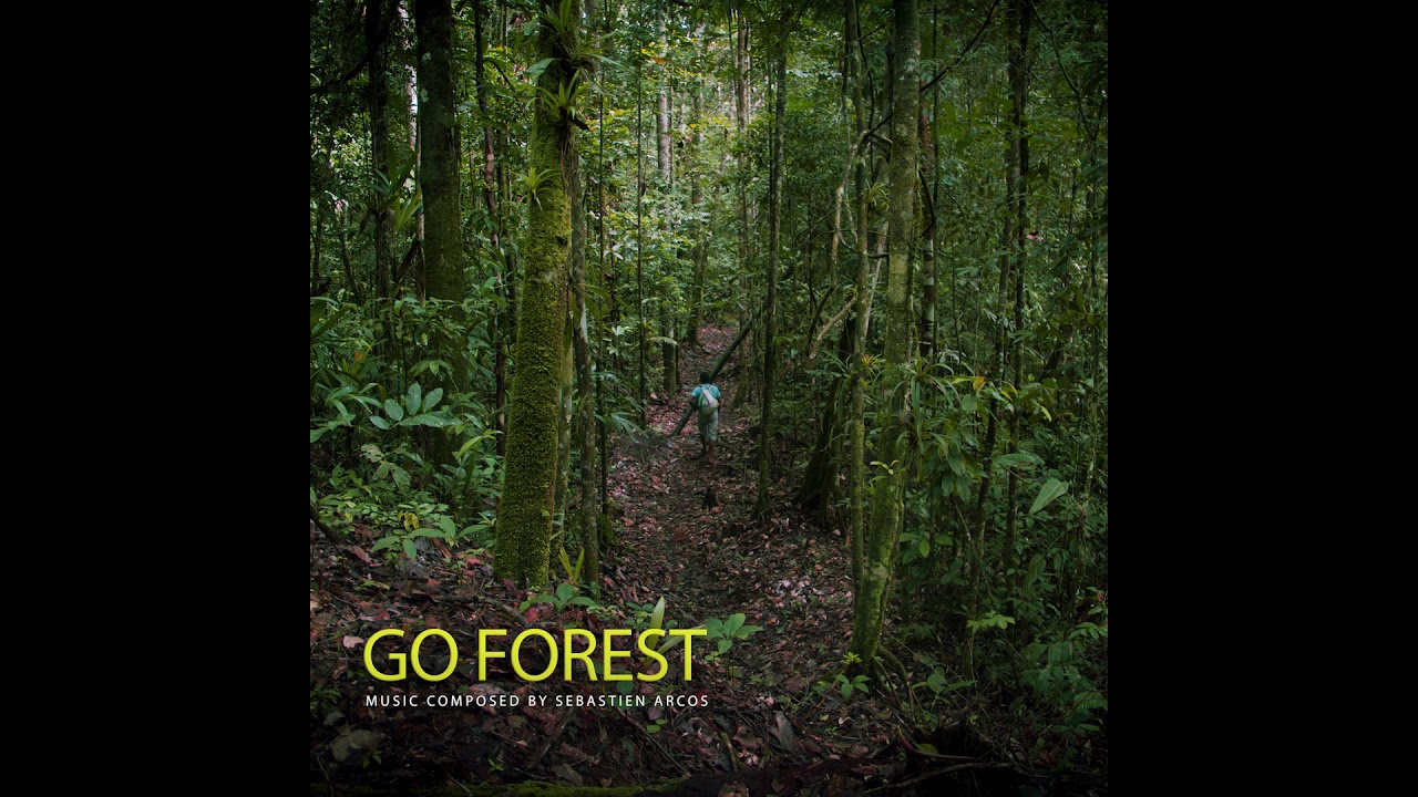 GO FOREST - Sébastien Arcos -