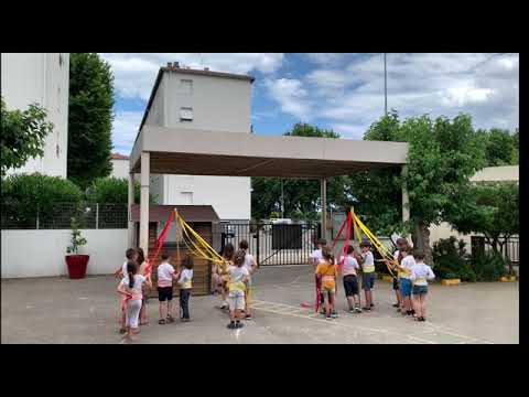 Vídeo: Catifes Daurades D’herba De Sant Joan