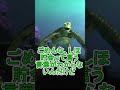 貯金いくらありますか?【タートルトーク】東京ディズニーシー