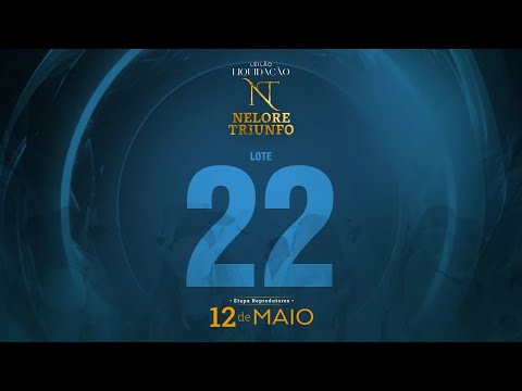 LOTE 22 - MACF 672