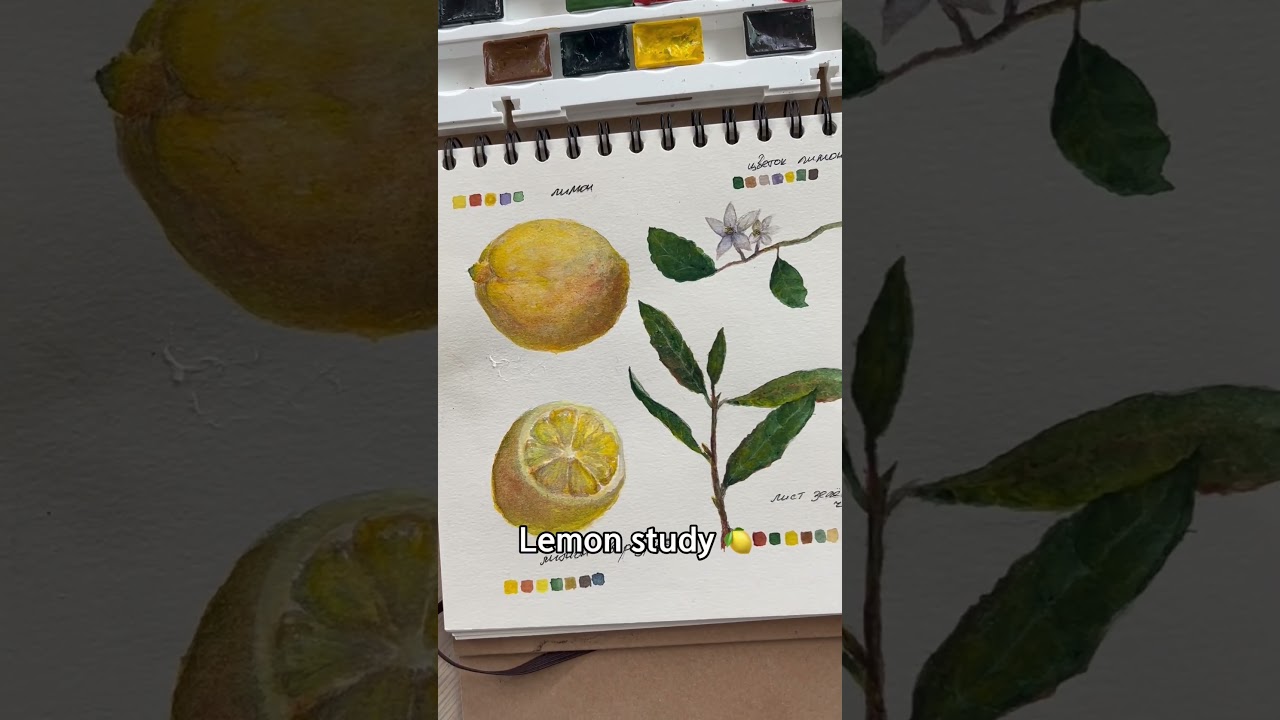 Изучение лимона и ветки зеленого чая 🍋| Акварель  