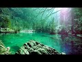 Programming Designing Hacking Coding Relaxing Sleep Music Relaxing Music Stress Relief Meditation