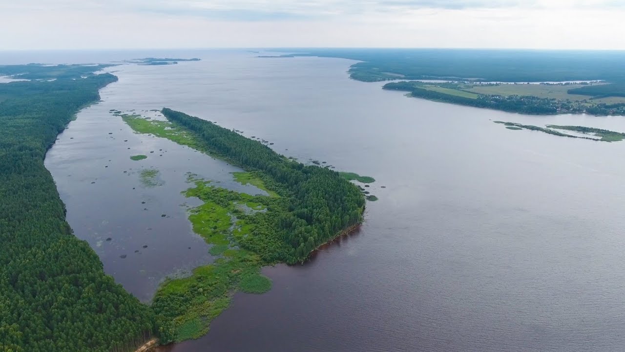 Рыбинские острова водохранилище. Дарвинский заповедник Рыбинское водохранилище. Плавучие острова Рыбинское водохранилище. Остров Святовский мох на Рыбинском. Дарвинский заповедник торфяные острова.