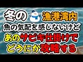 冬の漁港湾内で日中釣り、魚の気配を感じないけど、アジからチヌまで色々な魚種が狙えるあのサビキ仕掛けでどうにか攻略してみる（仕掛け解説あり）