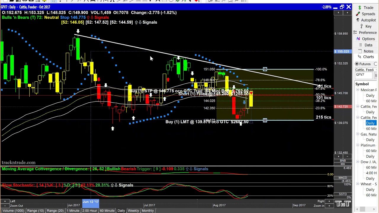 Trade Mentors Feeder Cattle Youtube