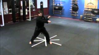 AKKA Kenpo Karate Short 2 Form by Anthony Williams