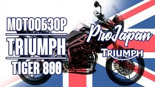 : Triumph Tiger 800.     BMW F800GS