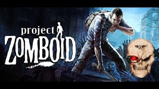Project Zomboid - what could go wrong?