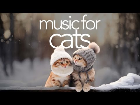 CAT MUSIC LIVE - 24/7 Music for Cats - Classical and Calming Sounds
