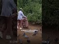 Нашла попугая на улице