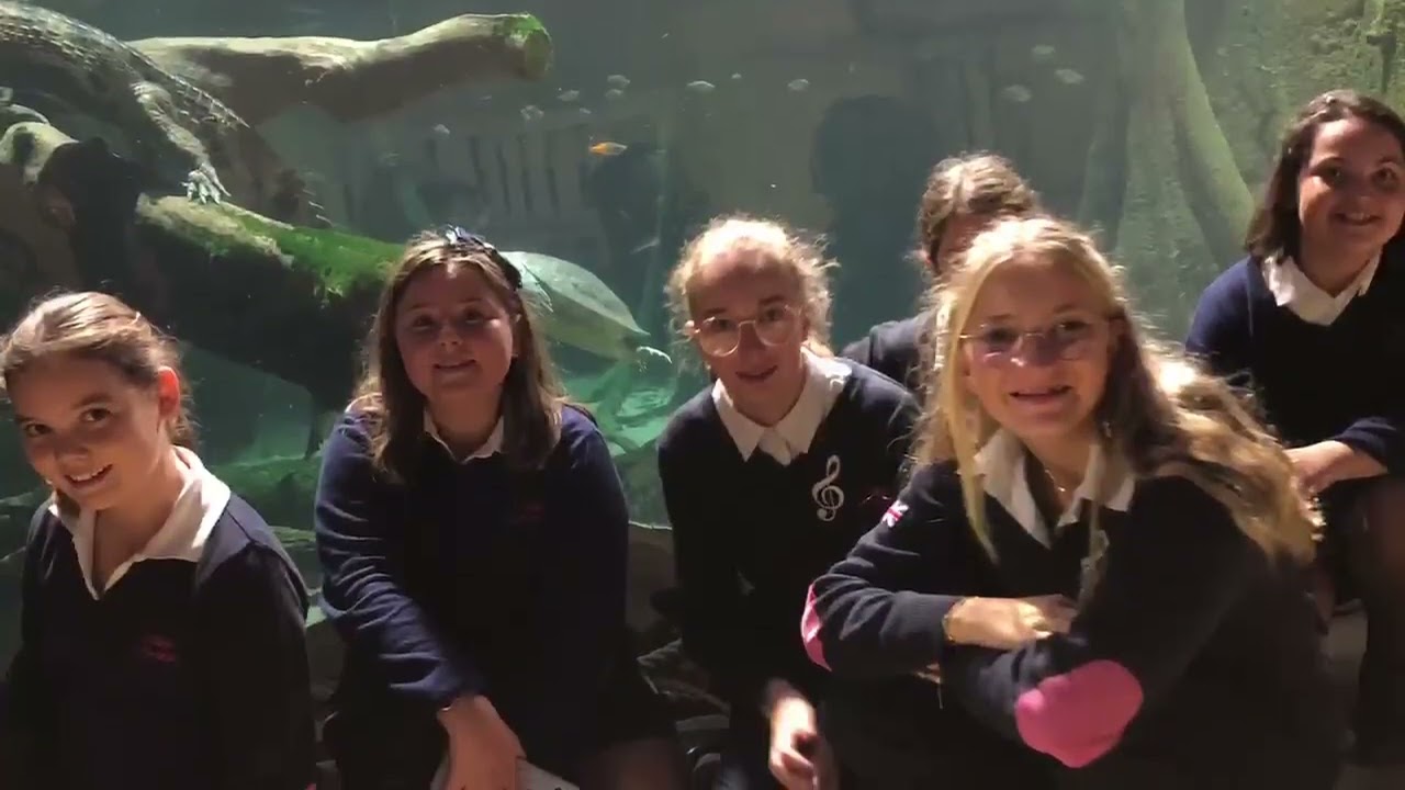 Les Petits Chanteurs des Prieurés au zoo de Beauval
