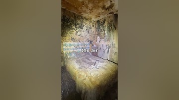 The Moldiest House in the World