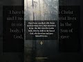 New Life | Christ-Centered Life | Galatians 2:20 | Wilderness Voice