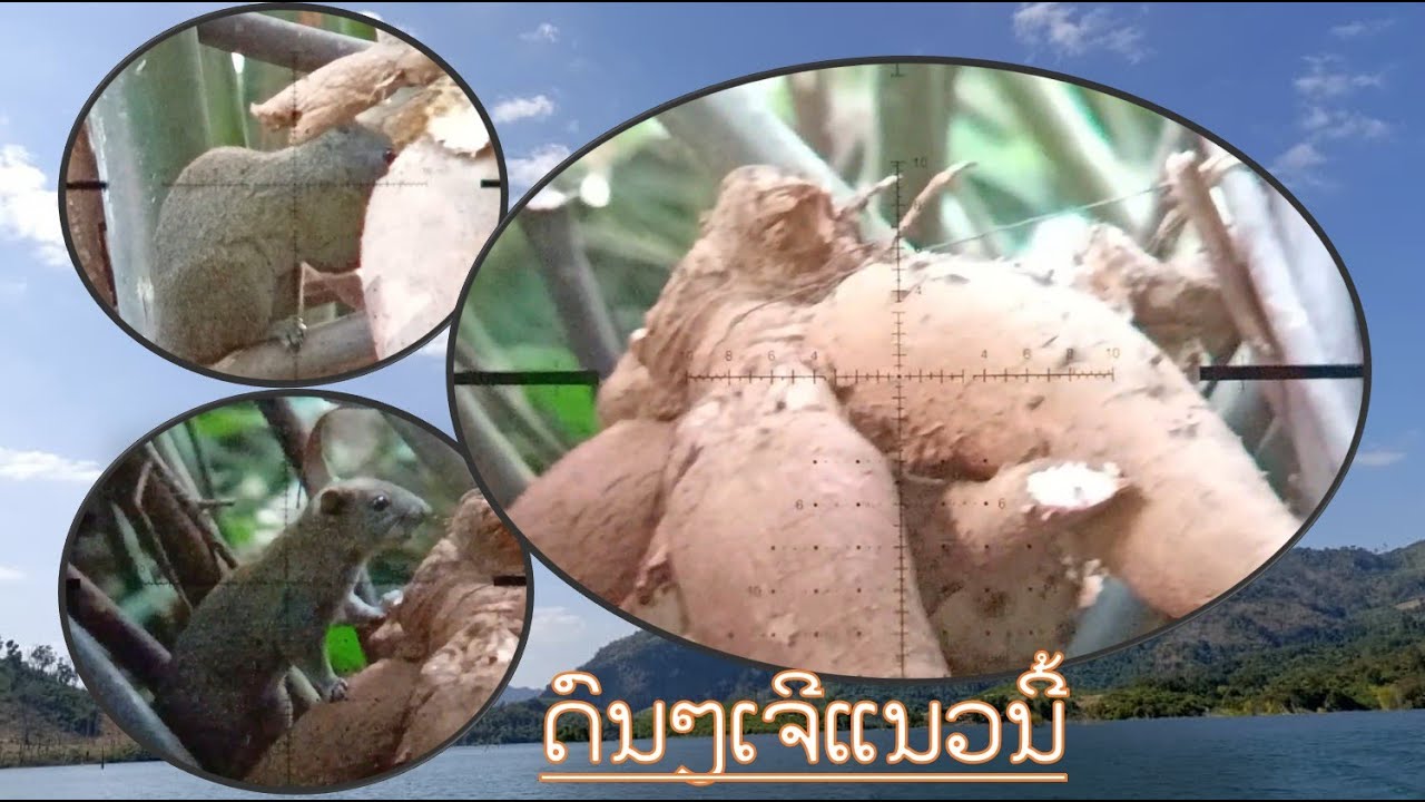 EP.134| ດົນໆເຈີສະຖານະການແນວນີ້ ดนฯเจีสะถานะกานแบบนี้